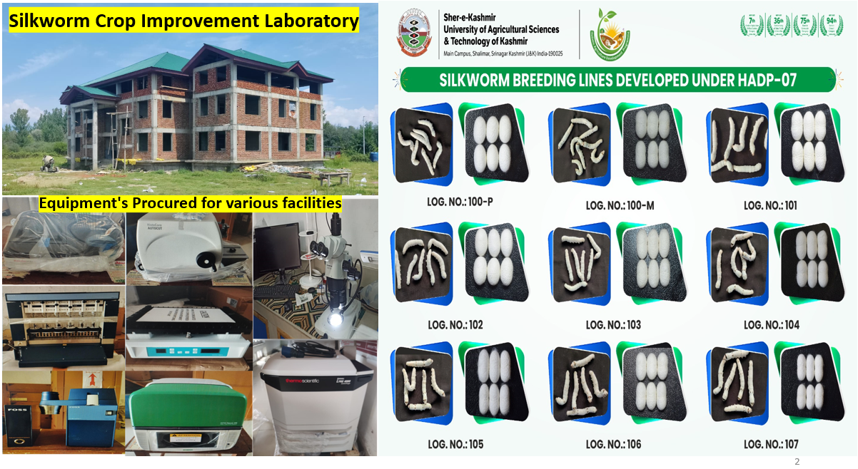 Technological interventions to strengthen sericulture in UT of JK